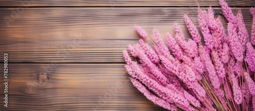 Pink blooms on wooden surface
