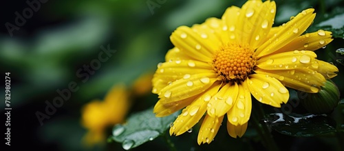 Vibrant yellow flower adorn...