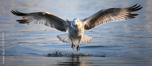 Giraffe soaring above water...