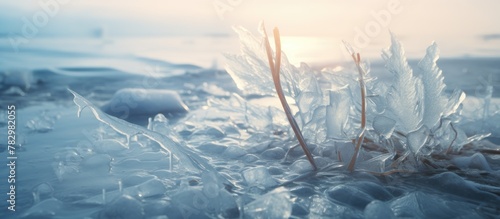 Sunset reflection on icy beach