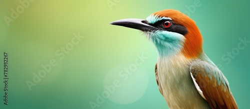 Red-headed bird rests on gr...