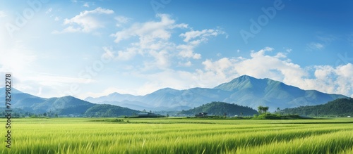 Green field backdrop mountains afar