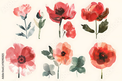 Colorful  flowers hand drawn collection isolated on white background