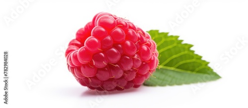 Raspberry leaf on white bac...