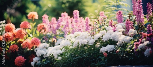 Garden flowers blue pot gre...