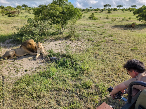 Safari Photographing in Kruger national Park, S.A photo