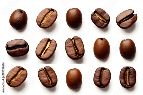 Coffee Bean Set Isolated on White