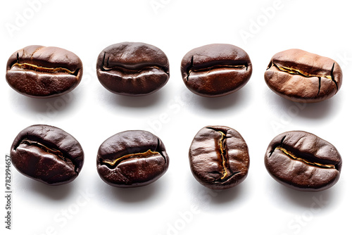 Coffee Bean Set Isolated on White