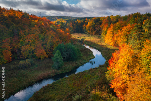 Autumnal landscape of the forest and twisted Radunia river in Kashubia. Poland
