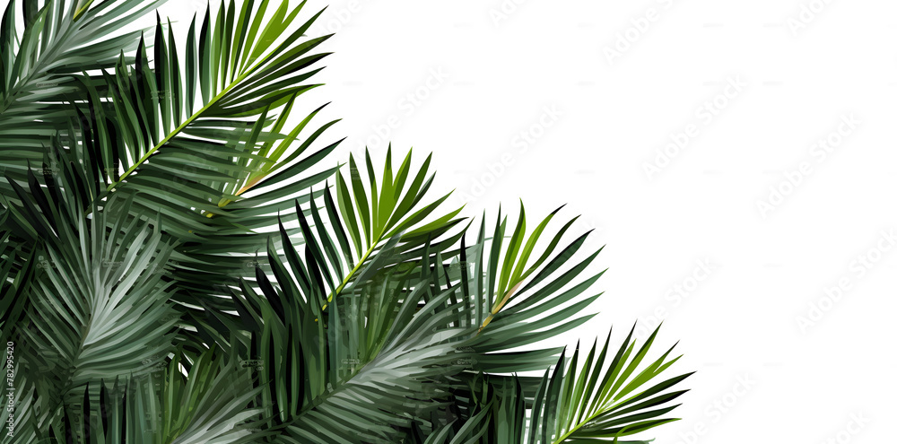 Frame with tropical palm leaves and jungle plants isolated on white background Frame with tropical palm leaves and jungle plants isolated on white background
