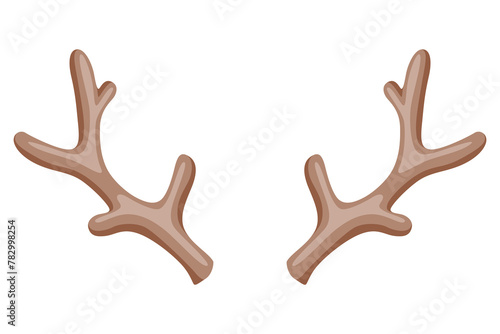 Horns. Hunting trophy.  horned wild animal. Pairs of antlers.  illustration of hunted animal, wildlife decoration concept