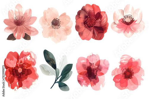 Colorful flowers hand drawn collection isolated on white background