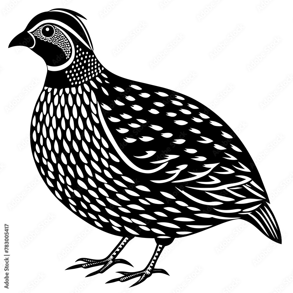 Obraz premium Quail Bird silhouette. quail Logo design concept isolated on white background. Quail logotype Vector Illustration