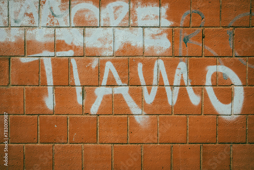 Vandalism on a city wall