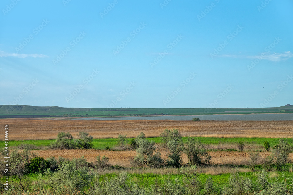 Estuaries of the Sea of Azov shallow and overgrown with reeds. Taman Peninsula