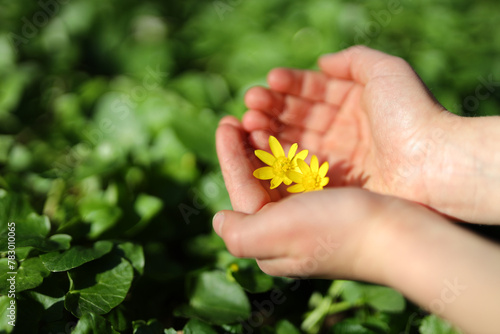 Children in a sunny meadow, small hands holding yellow flowers, embracing the beauty of nature.
