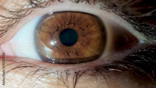 Close-up Macro shot of female brown eye open. Human eye iris opening pupil photo