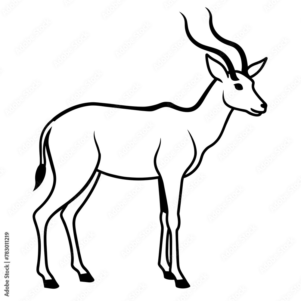 antelope (Aepyceros melampus) black and white vector antelope (Aepyceros melampus) black and white vector