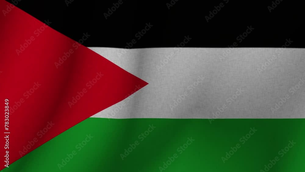 The flag of Palestine. The evolving 3d national flag of Palestine. 1080p HD animation for presentation. The flag of Palestine. The evolving 3d national flag of Palestine. 1080p HD animation for presentation.