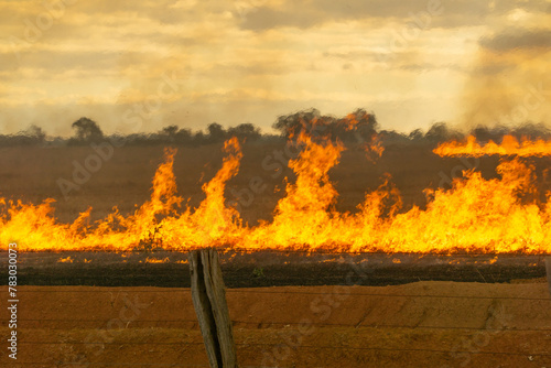 Slash-and-burn agriculture or Stubble burning. Fire being burned on an agricultural field to get rid of stubble before plowing.
