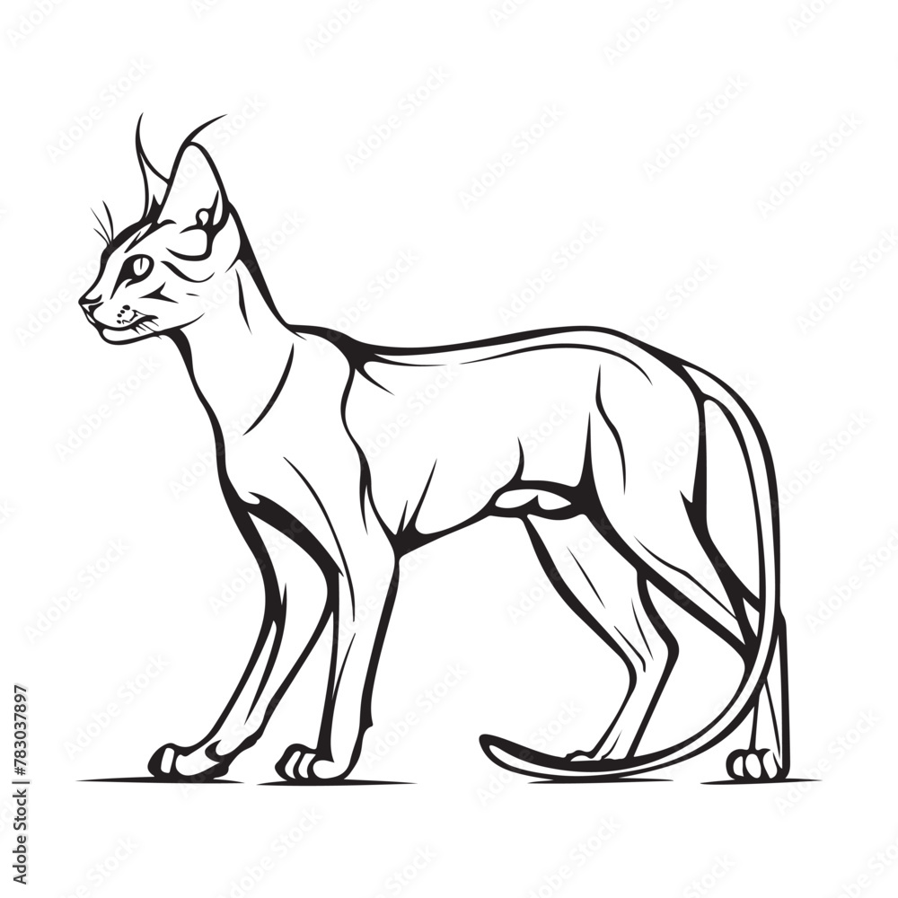 Abyssinian Cat On White Background Cartoon Stock Vector