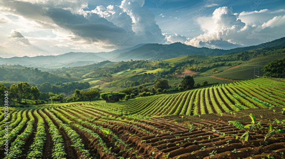 Amidst the rolling hills and verdant plains, farmers cultivate the land with reverence, their hands shaping the future of food security. Amidst the rolling hills and verdant plains, farmers cultivate the land with reverence, their hands shaping the future of food security.