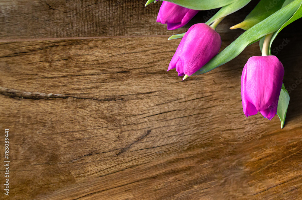 Bouquet of beautiful tulips on wooden background. Tulips on old boards