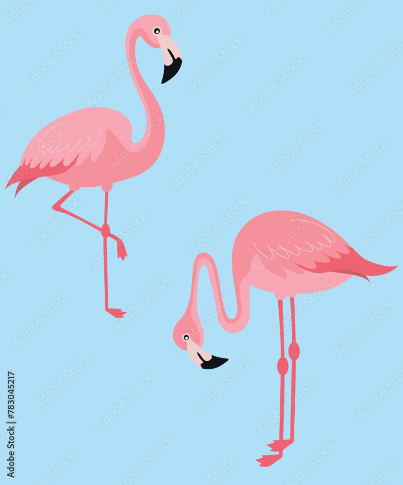 Obraz premium Couple pink flamingo, flamingo birds illustation