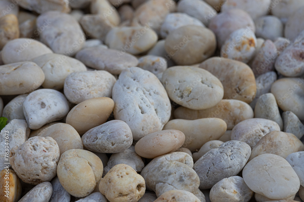 White stone background and stone texture, round white stones used to form walkways. and decorate fish tanks or various areas for beauty. White stone background and stone texture, round white stones used to form walkways. and decorate fish tanks or various areas for beauty.