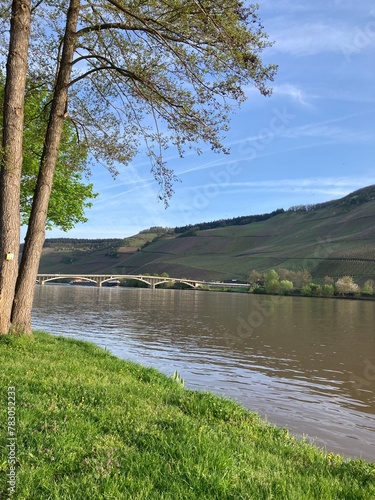 Promenade le long de la Moselle en Allemagne - Europe - Vallée de la Moselle