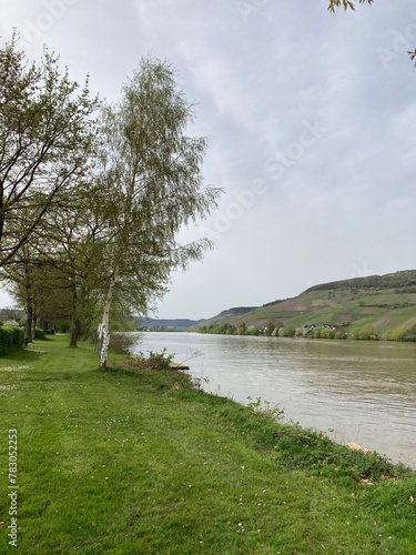 Promenade le long de la Moselle en Allemagne - Europe - Vallée de la Moselle