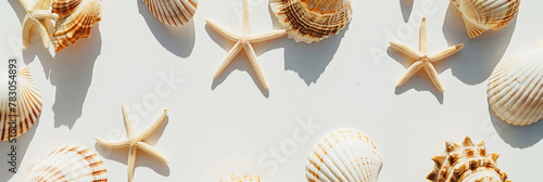 Flat lay aesthetic marine pattern on light clean background with seashells and starfish. Generative AI