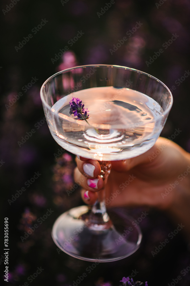Obraz premium Hand girl holding glass of white wine with lavender sprig in purple lavender field. Cocktail in womans hand among violet flowers with sunlight on summer day. Provence. Romantic time at sunset. Closeup