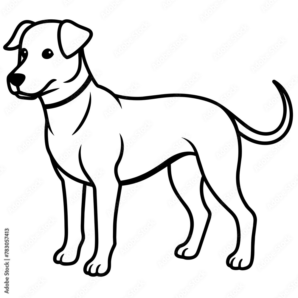 Dog vector illustration.
Dog vector illustration.