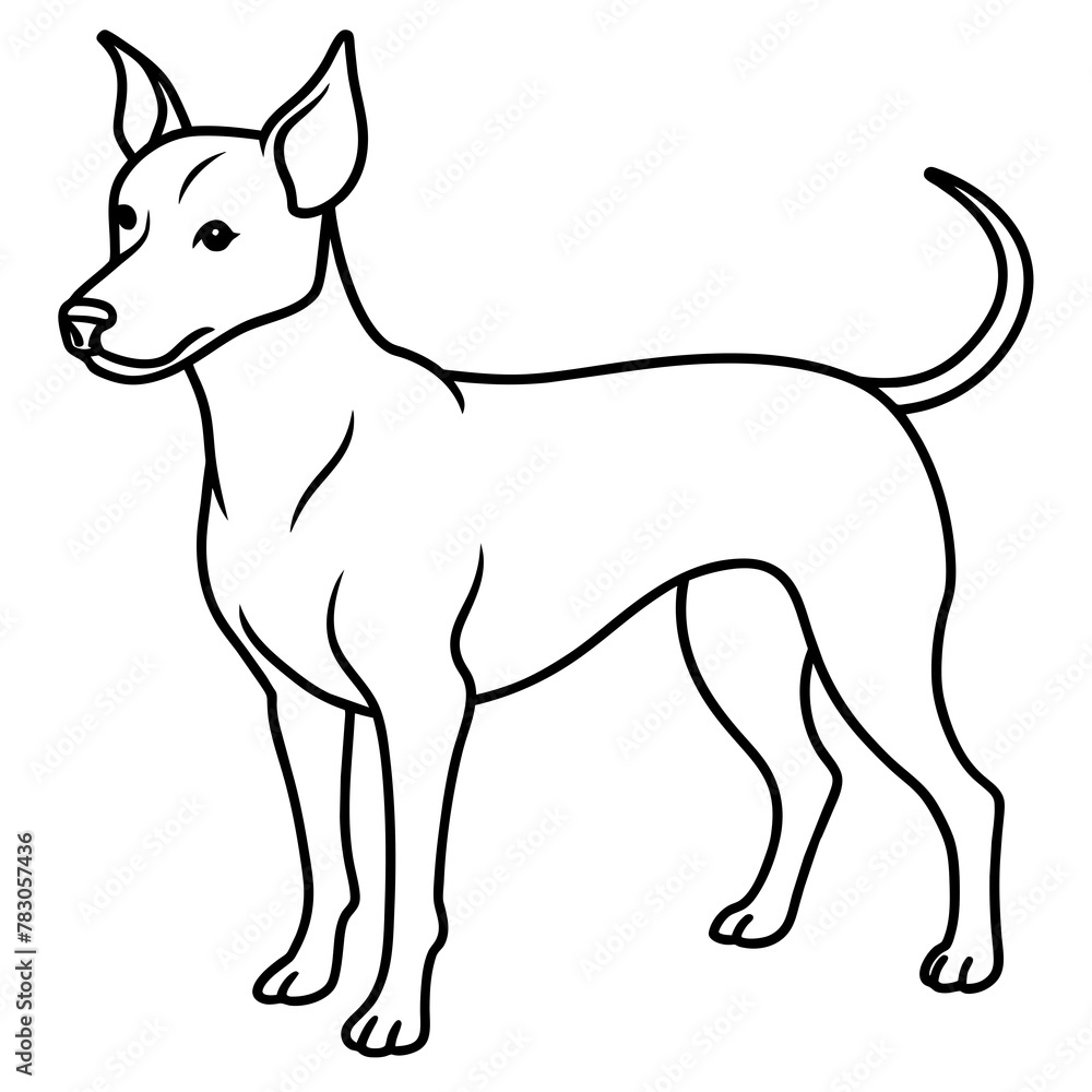      Dog vector illustration.
