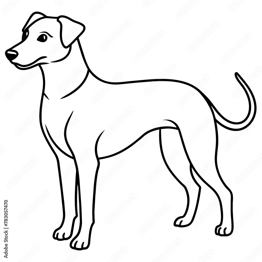 Dog vector illustration.
Dog vector illustration.