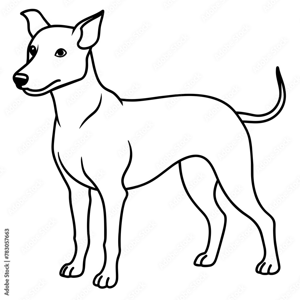 Dog vector illustration.
Dog vector illustration.