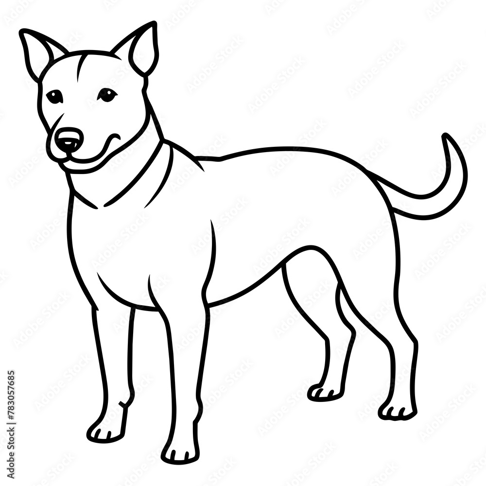 Dog vector illustration.
Dog vector illustration.
