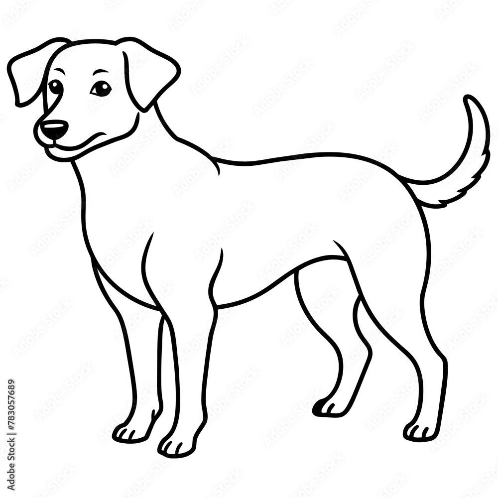 Dog vector illustration.
Dog vector illustration.