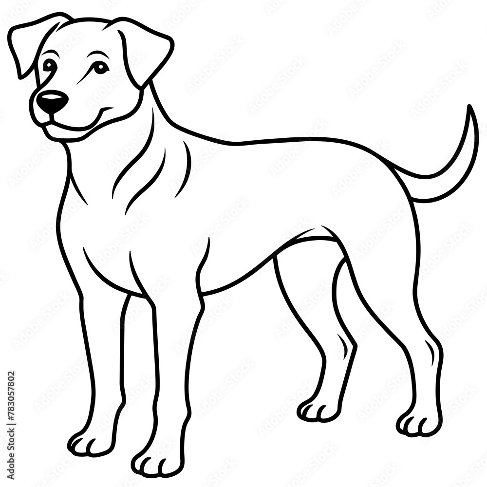 Dog vector illustration.
Dog vector illustration.