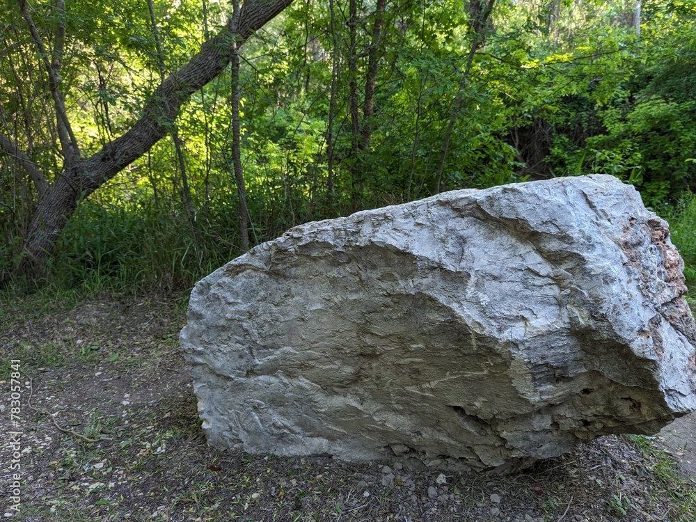 Big stone in the forest
