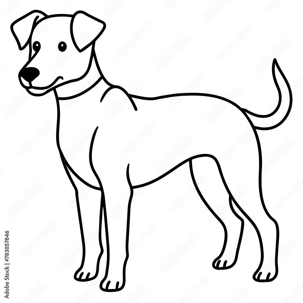 Dog vector illustration.
Dog vector illustration.