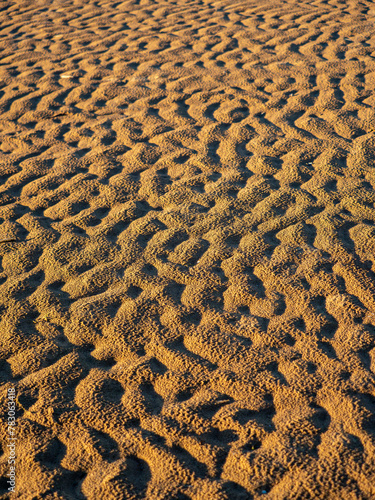 Sandy Beach Texture After Tide