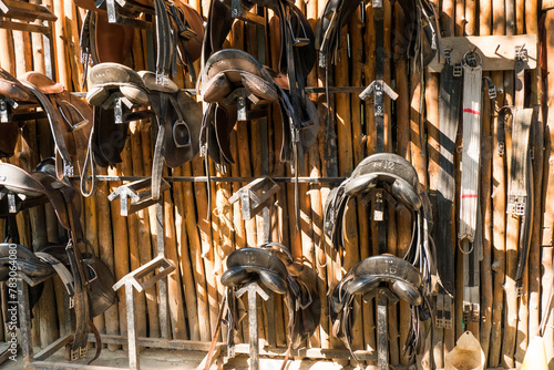 Leather horse bridles and bits hanging on a wooden wall of stable at a horse farm.. photo