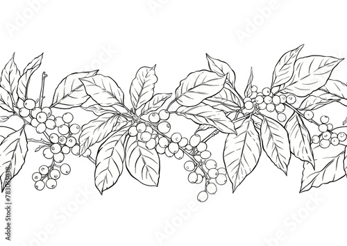 Coffee tree. Branch with leaves and berries. Seamless pattern, background. Outline hand drawing vector illustration. In botanical style