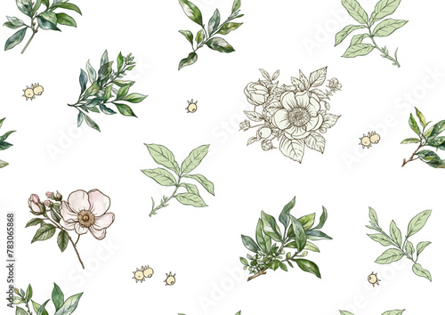Green tea branch with leaves and wild rose flowers and berries. Seamless pattern, background. Vector illustration. In botanical style