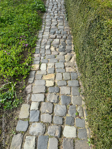 Paved natural stone path