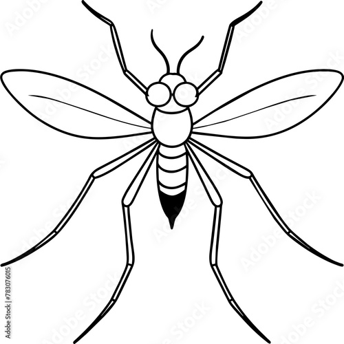Mosquito isolated on white background