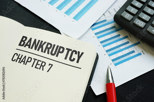 Quadro su tela Bankruptcy chapter 7 is shown using the text
