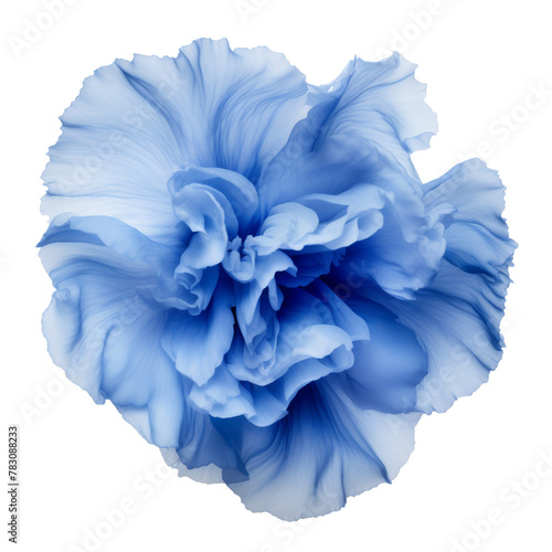 blue abstract flower isolated on transparent background cutout